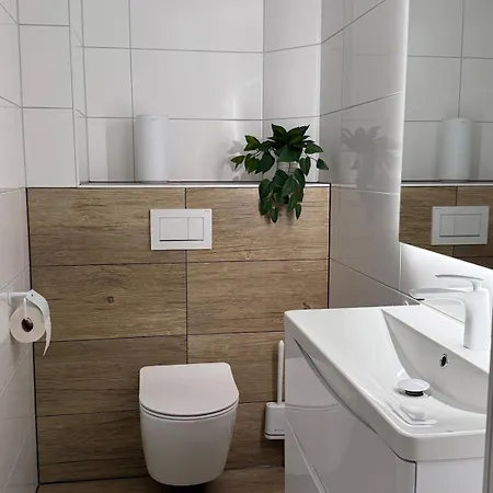 Apartment Premium Für Monteure In 300m2 6xschlafzimmer